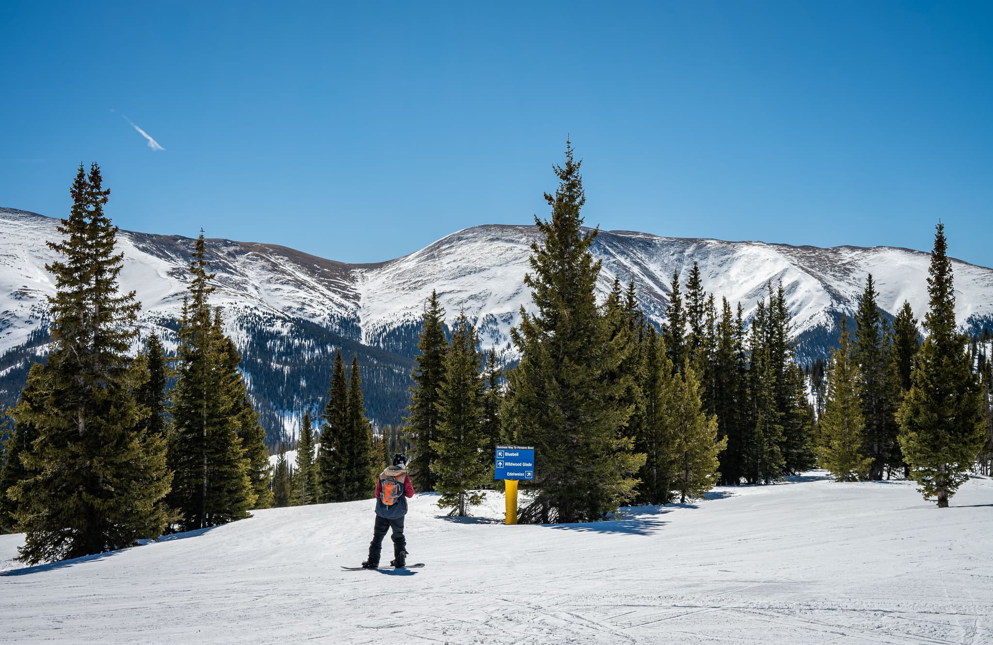 LEGACY — Snowboarder on a groomed run, pines and a peak behind